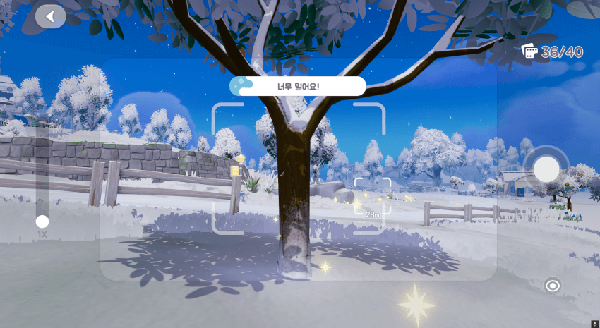 두근두근타운 새관찰