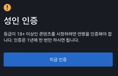 디즈니플러스 성인인증 방법